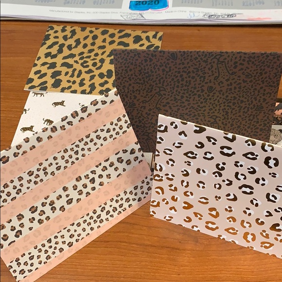6 Pack of Cheetah Print Thank You Cards - Picture 2 of 5
